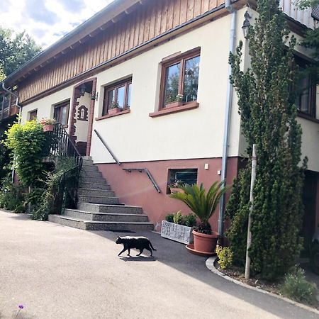 Gite Du Ried Bischwiller Dış mekan fotoğraf