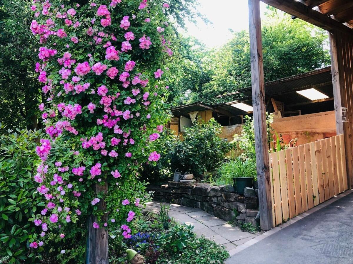 Gite Du Ried Bischwiller Dış mekan fotoğraf